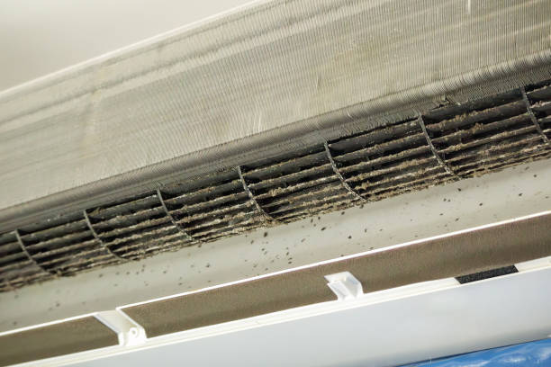 Best Home Air Vent Cleaning  in Piednt, MO